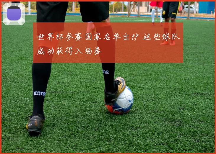 世界杯参赛国家名单出炉 这些球队成功获得入场券