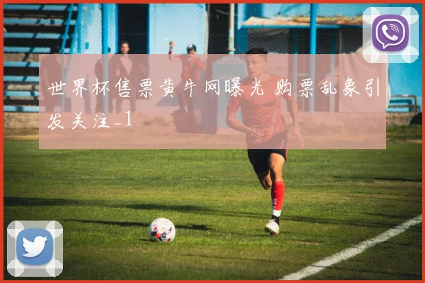 世界杯售票黄牛网曝光 购票乱象引发关注_1
