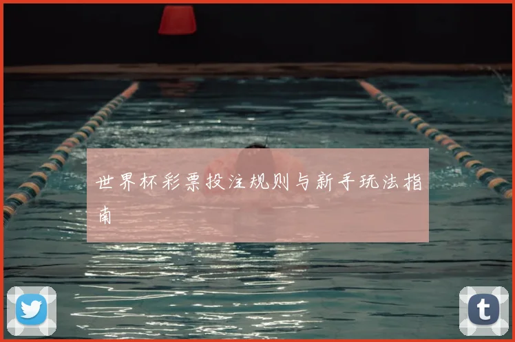世界杯彩票投注规则与新手玩法指南