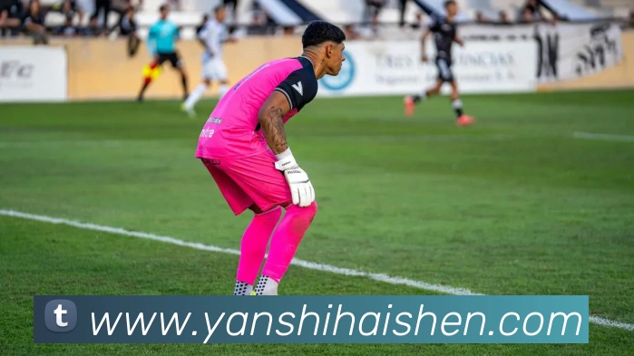 在线买世界杯平台平台生态图