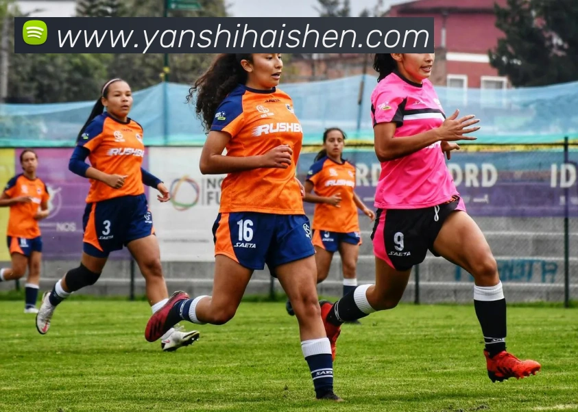 在线买世界杯平台APP 封面图